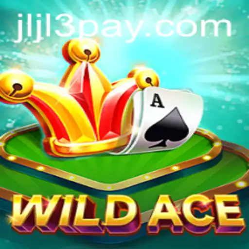 Exploring the Thrills of WildAce: A Comprehensive Guide